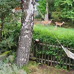 Lesna Z Ogrodem Apartman *