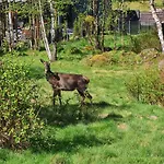 Apartman Lesna Z Ogrodem *