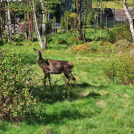 Apartman Lesna Z Ogrodem *