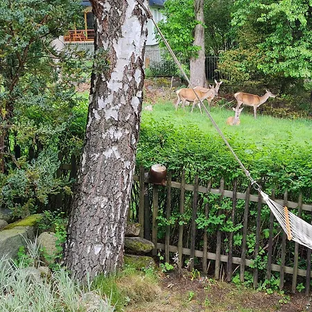 Lesna Z Ogrodem Apartamento *