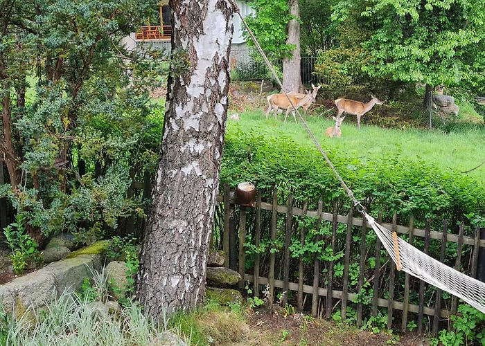 Lesna Z Ogrodem アパート *