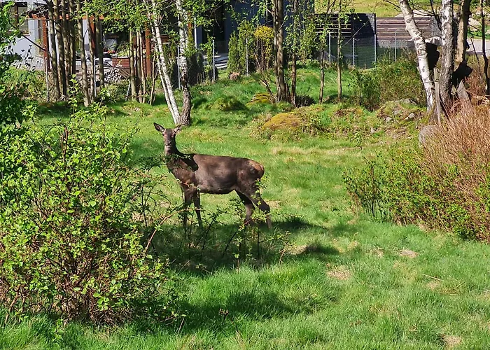 Apartmán Lesna Z Ogrodem *